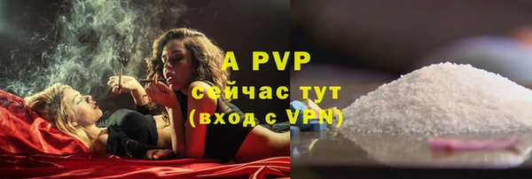 спайс Бородино