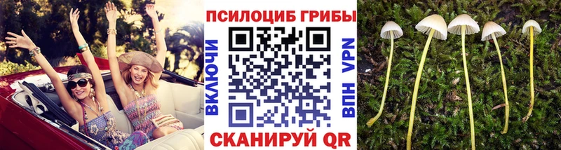сколько стоит  Нижний Тагил  Псилоцибиновые грибы мухоморы 