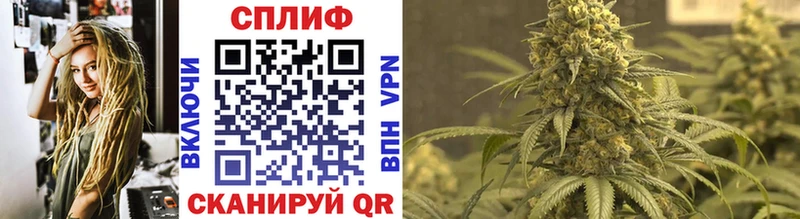 как найти наркотики  Нижний Тагил  Шишки марихуана SATIVA & INDICA 